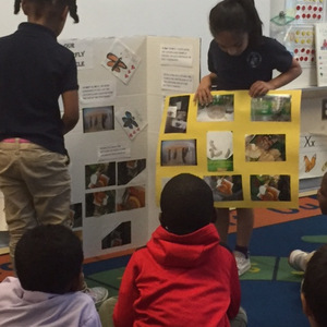 Cover photo of the Kindergarten Projects album